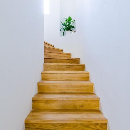 Villa Roma Dubrovnik Buitenkant foto